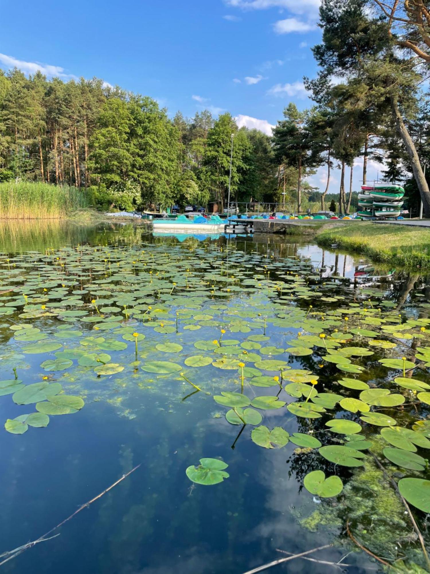 Osrodek Wypoczynkowy "Julia" W Samociazku Hotell Samociążek Exteriör bild